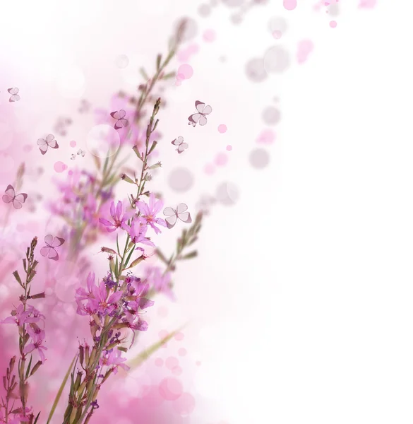 Mooie bloemen grens — Stockfoto