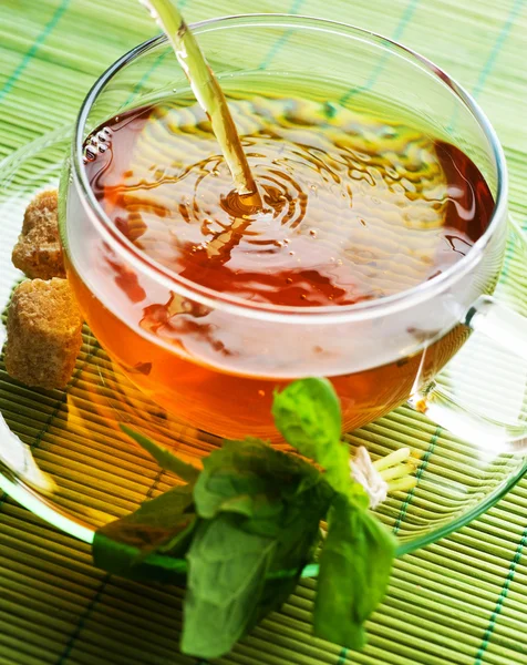 Gießen gesunden Tee — Stockfoto