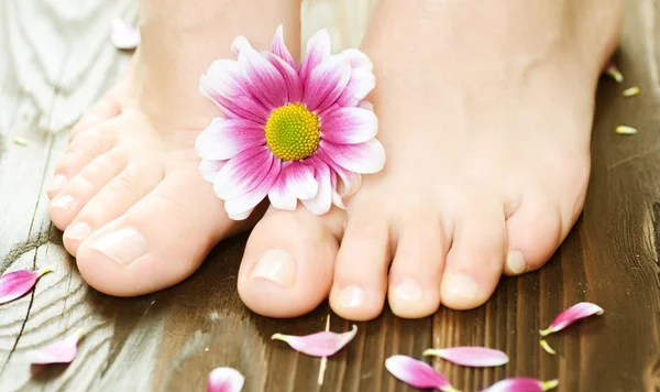 Szép női láb. Spa — Stock Fotó