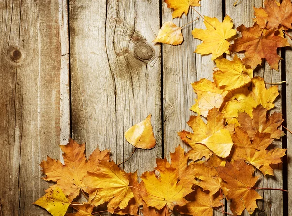 Herbstlaub über hölzernem Hintergrund. mit Kopierraum — Stockfoto