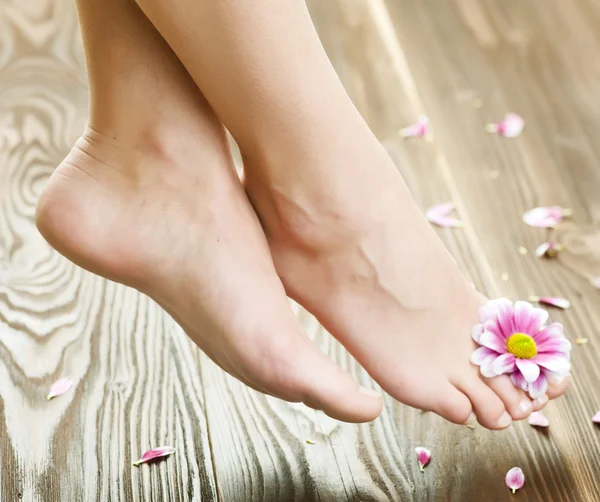 Vacker kvinnas fötter. Spa — Stockfoto