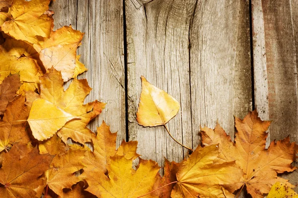 Foglie d'autunno su sfondo di legno. Con spazio di copia — Foto Stock