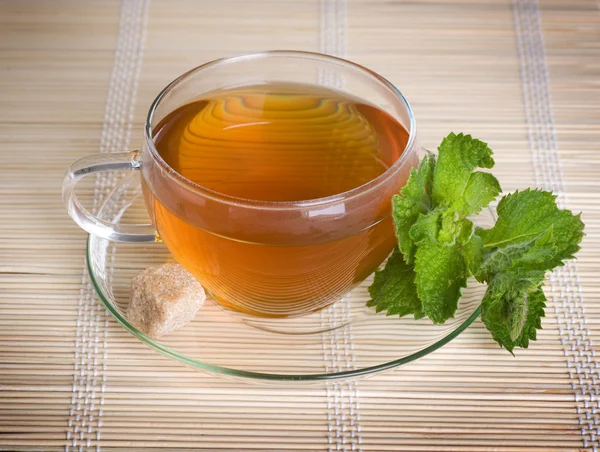 Zdravý čaj s mátou — Stock fotografie