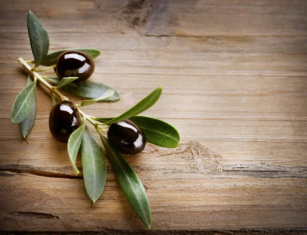 Olive Background — Stock Photo, Image