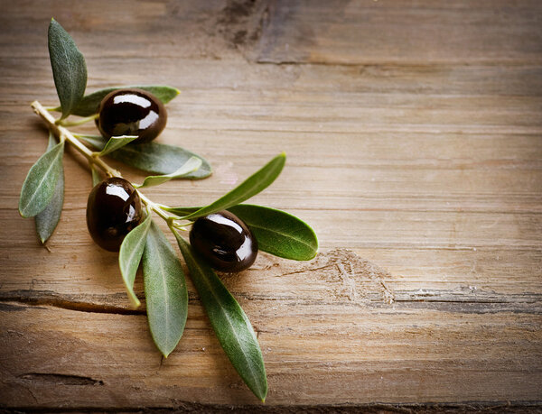 Olive Background