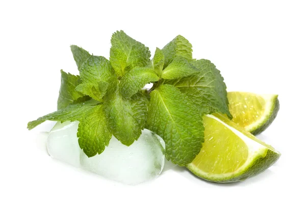 Ingredientes Mojito: Casa da moeda, Limão e gelo Closeup — Fotografia de Stock