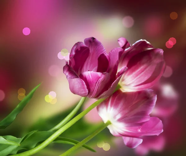 Ontwerp met bloemen — Stockfoto