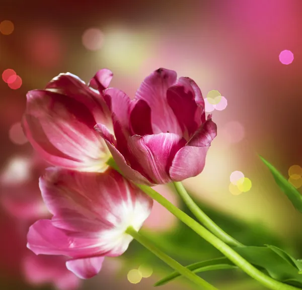 Flowers. Anniversary Card Design — Stock Photo, Image