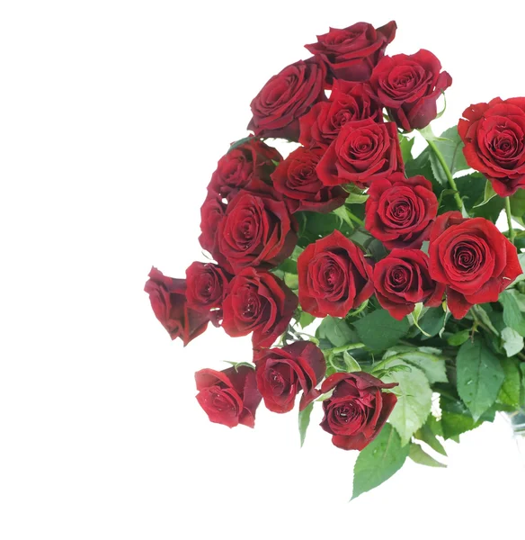 Bordo del mazzo delle rose rosse sopra bianco — Foto Stock