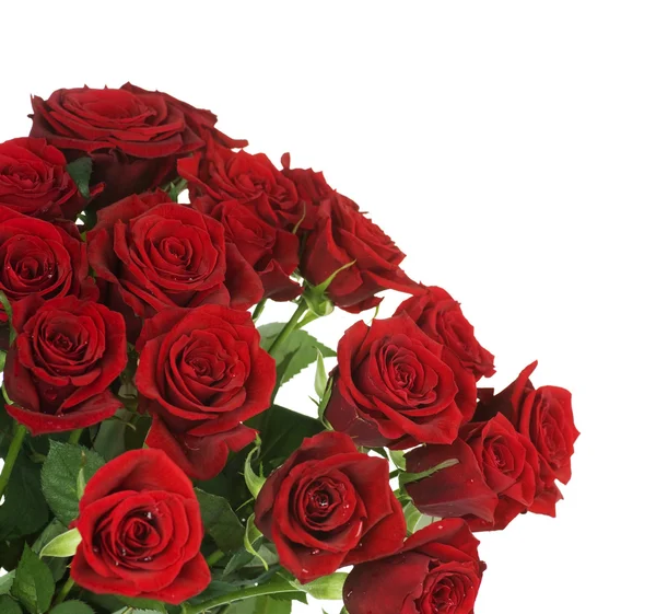 大红色玫瑰花束边框 — 图库照片