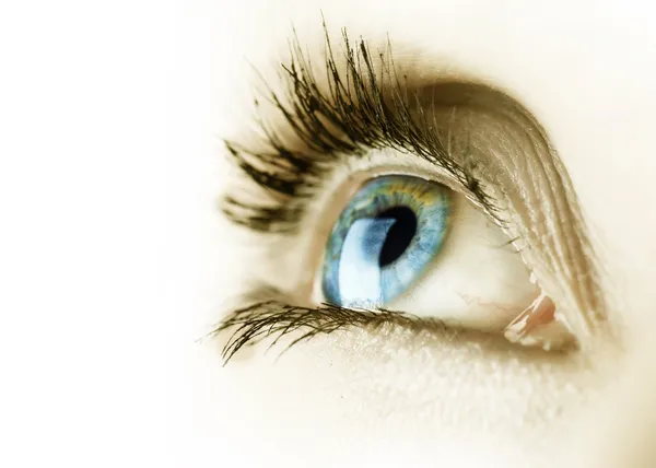 Frau Auge über Auge weiß — Stockfoto
