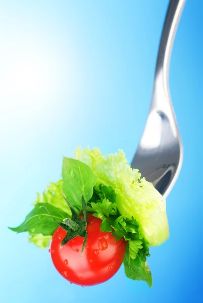 Konzept der gesunden Ernährung — Stockfoto