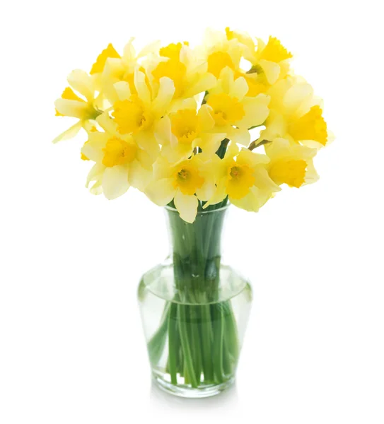 Szép nárcisz a vázában — Stock Fotó