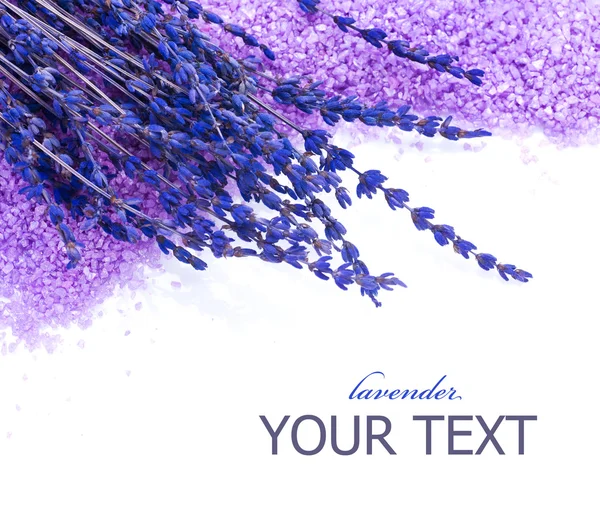 Lavendel spa gränsen. isolerad på vit — Stockfoto