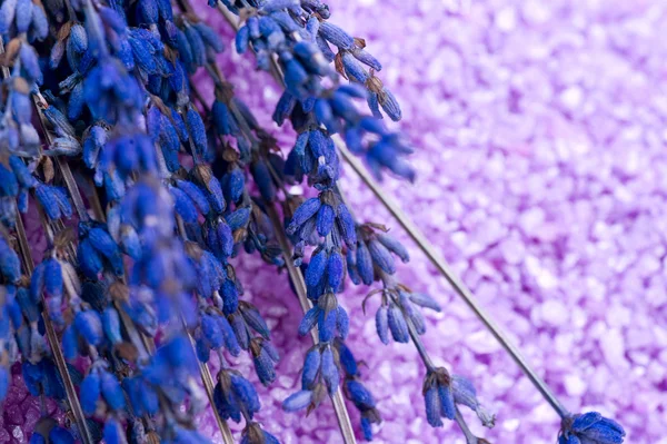 Trattamento Spa alla lavanda — Foto Stock