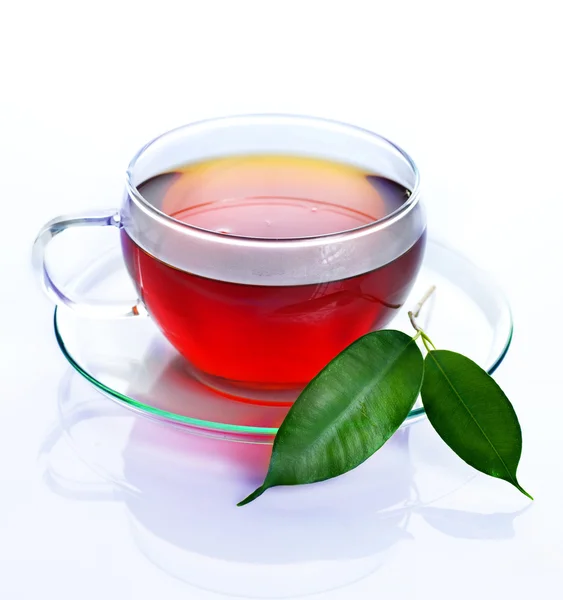 Υγιή τσάι — Φωτογραφία Αρχείου