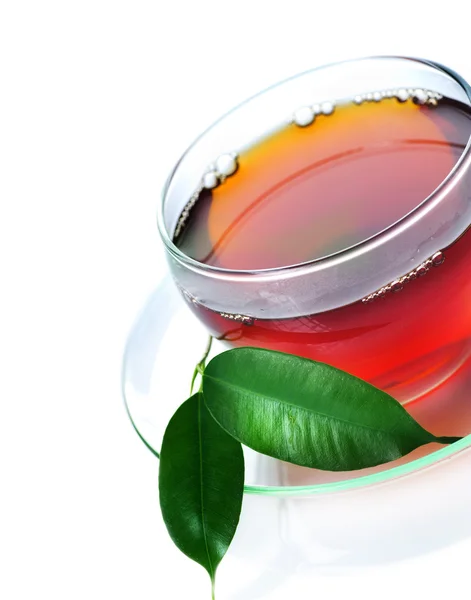 健康茶 — ストック写真