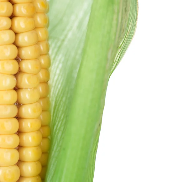 Вухо солодкого кукурудзи крупним планом — стокове фото