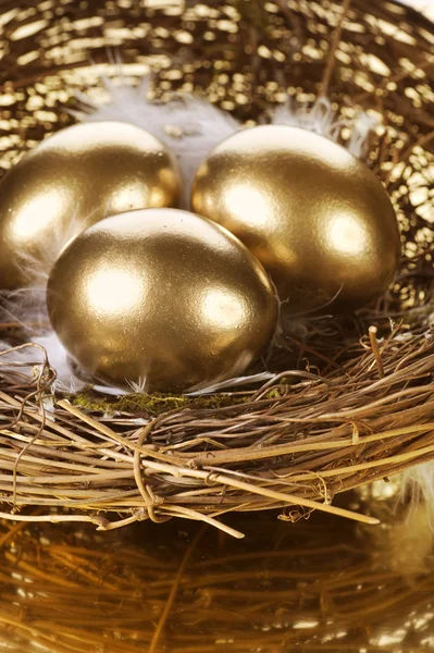 Χρυσά αυγά φωλιά — Φωτογραφία Αρχείου