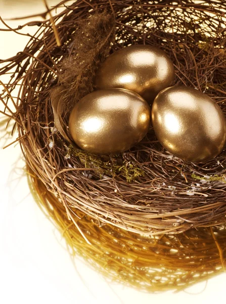 Gouden nest eieren — Stockfoto