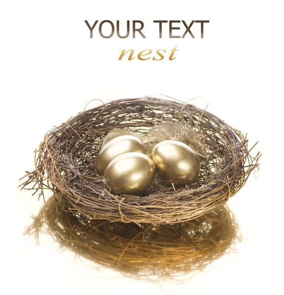 Zlatá vejce hnízda — Stock fotografie