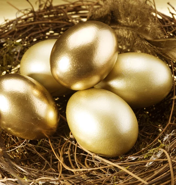 Uova nido d'oro — Foto Stock