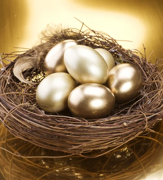 Złote jaja nest — Zdjęcie stockowe