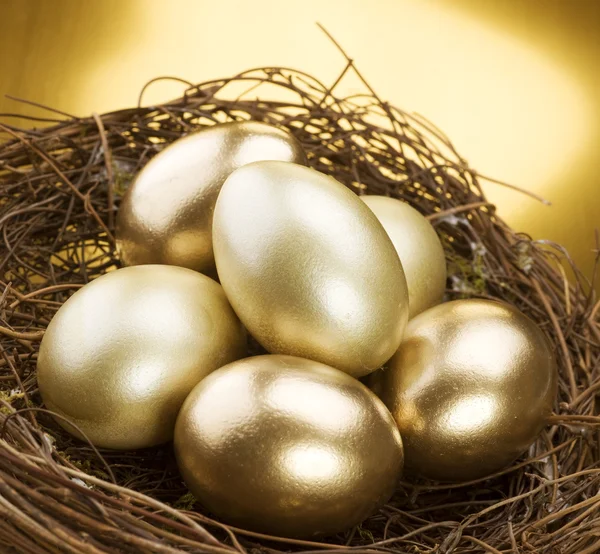 Ovos de ninho dourado — Fotografia de Stock