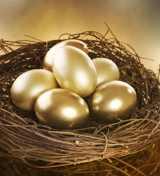 Golden Nest Eggs — Stock Photo, Image