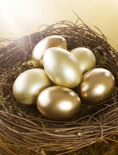 Gyllene nest ägg — Stockfoto