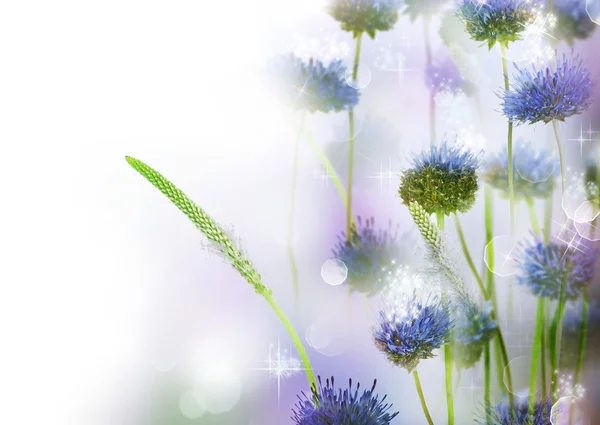 抽象的な花ボーダー設計 — ストック写真
