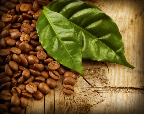 나무 배경 위에 커피 콩 — 스톡 사진