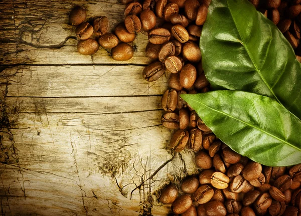 Coffee Beans over Wood Background — Stock Photo, Image