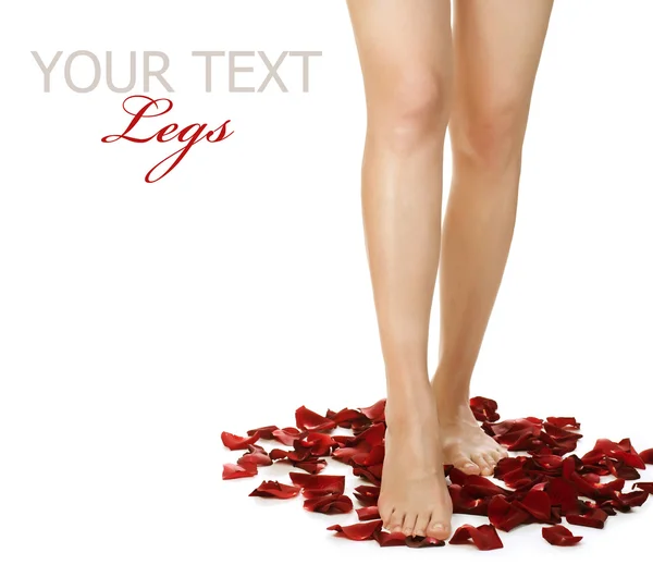 Spa Legs e Rose Petals. Isolado em branco — Fotografia de Stock