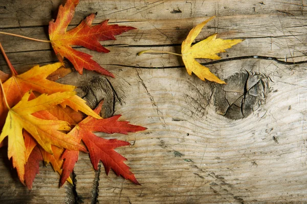秋天的叶子在木制的背景。与副本空间 免版税图库照片
