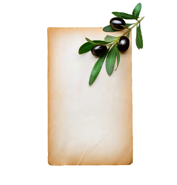 Blanco papier en olijftak geïsoleerd op wit Stockfoto