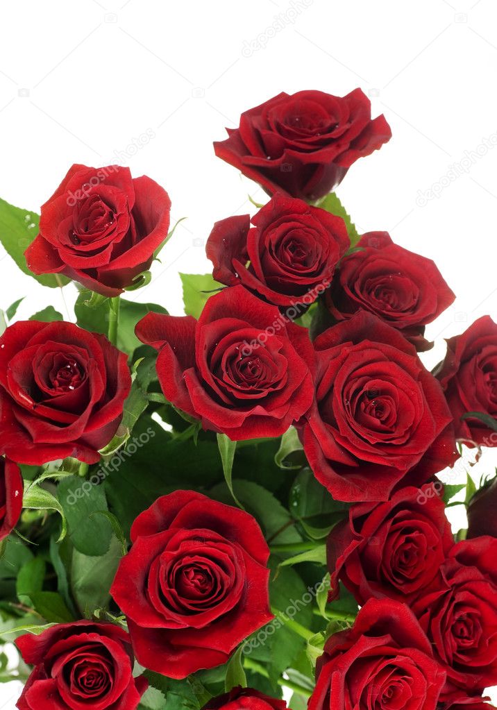 Red Roses bouquet over white
