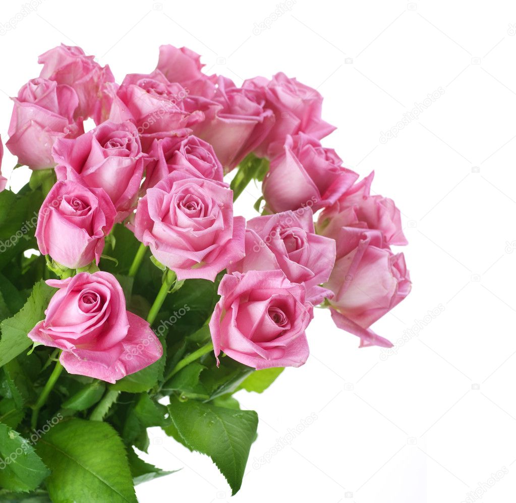 Big Roses Bouquet — Stock Photo © Subbotina #10677944