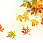 Falling Autumn Leaves — Stock Photo #10686458