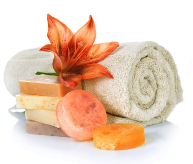 Spa Products. Handmade Soap clipart