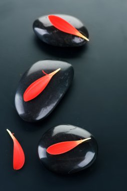 Spa Zen Stones With Red Petals clipart