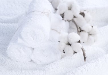 Cotton White Towels With Cotton Plant clipart