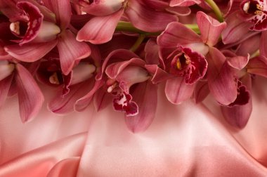 Orchids On A Silk Background clipart