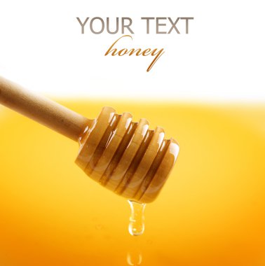 Honey border over white clipart