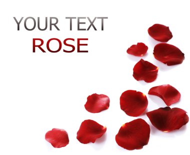 Rose Petals Border clipart