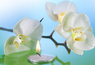 Orchid And Burning Candle In Water clipart