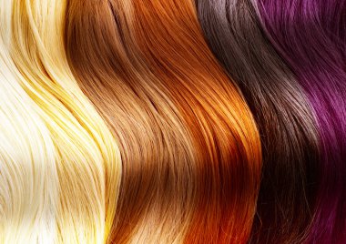 Hair Colors Palette clipart