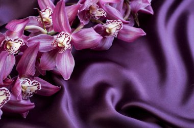 Silk and Orchid. With copyspace clipart