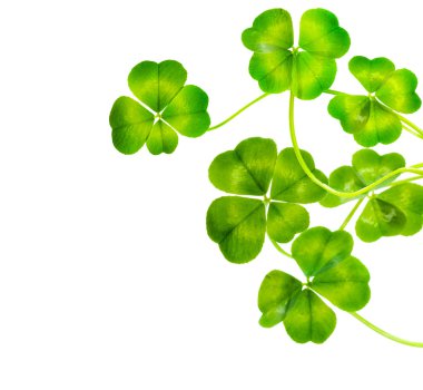 St.Patric's Day Border clipart