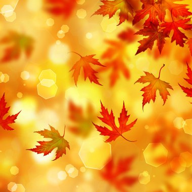 Autumn clipart